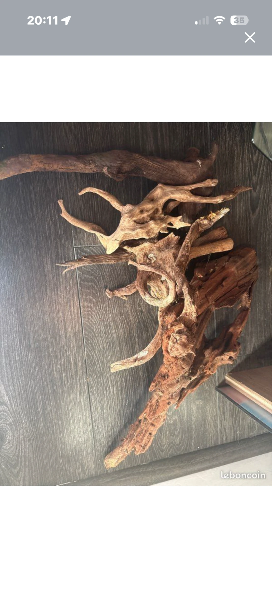 Lot of roots and aquarium wood – photo 2